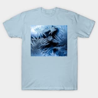 ICE T-Shirt